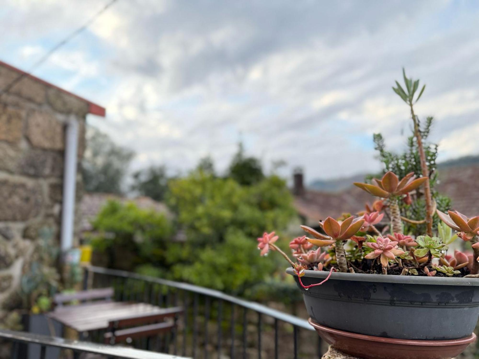 Willa Casa Carlinhos Da Carreira Terras de Bouro Zewnętrze zdjęcie